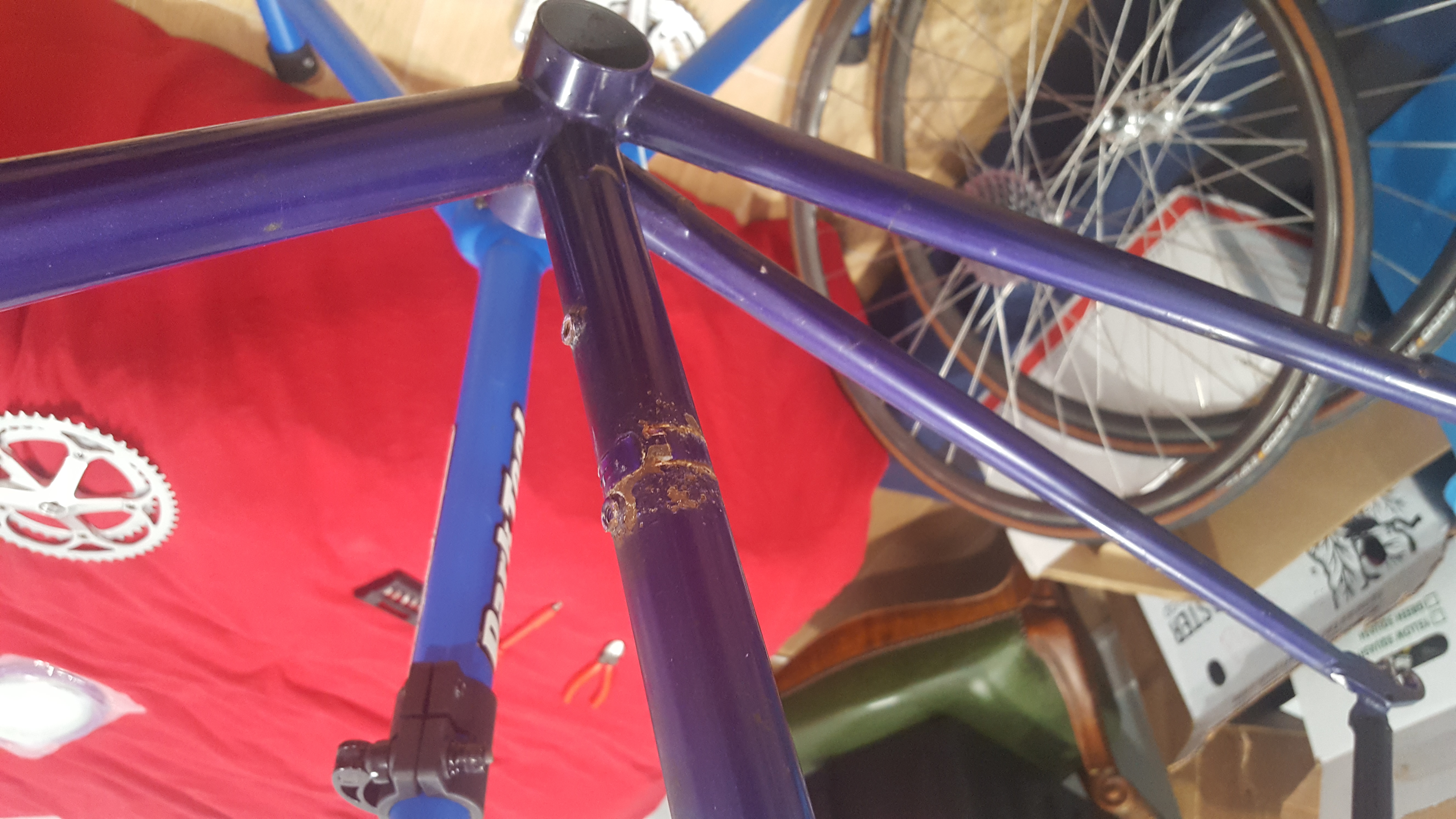 A close up on the bicycle frame's seat-tube and bottom bracket. Rust is visible around the bottle cage mounts and in a band where the front derailleur clamp would have been. In the background is a park-tool bike stand and house-clutter