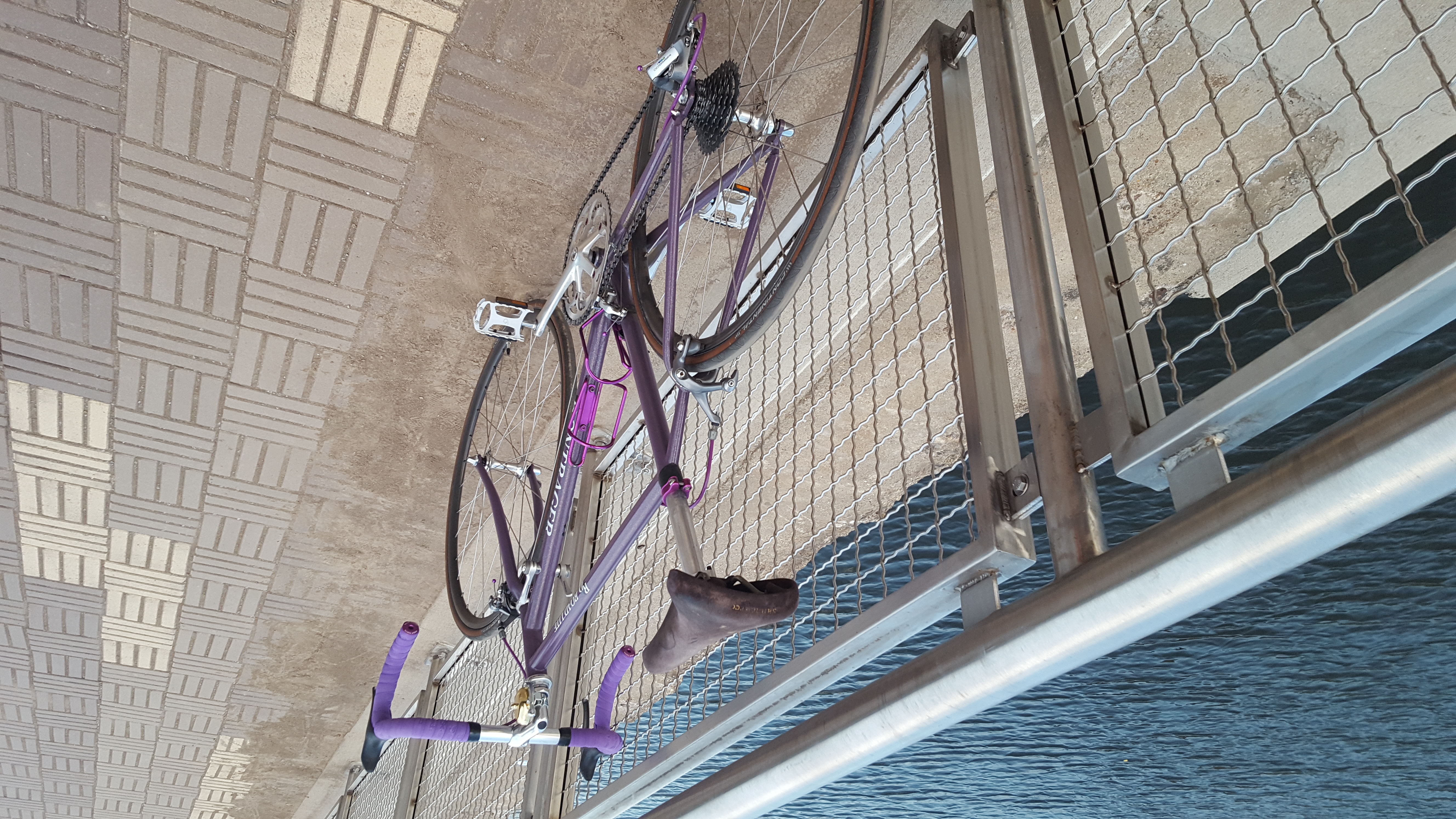 A purple bicycle posed on a fence in front of a river. The camera has revolved around towards the read of the bicycle showing flat pedals, a teal/blue dual-pivot brake caliper, and a worn suede saddle.