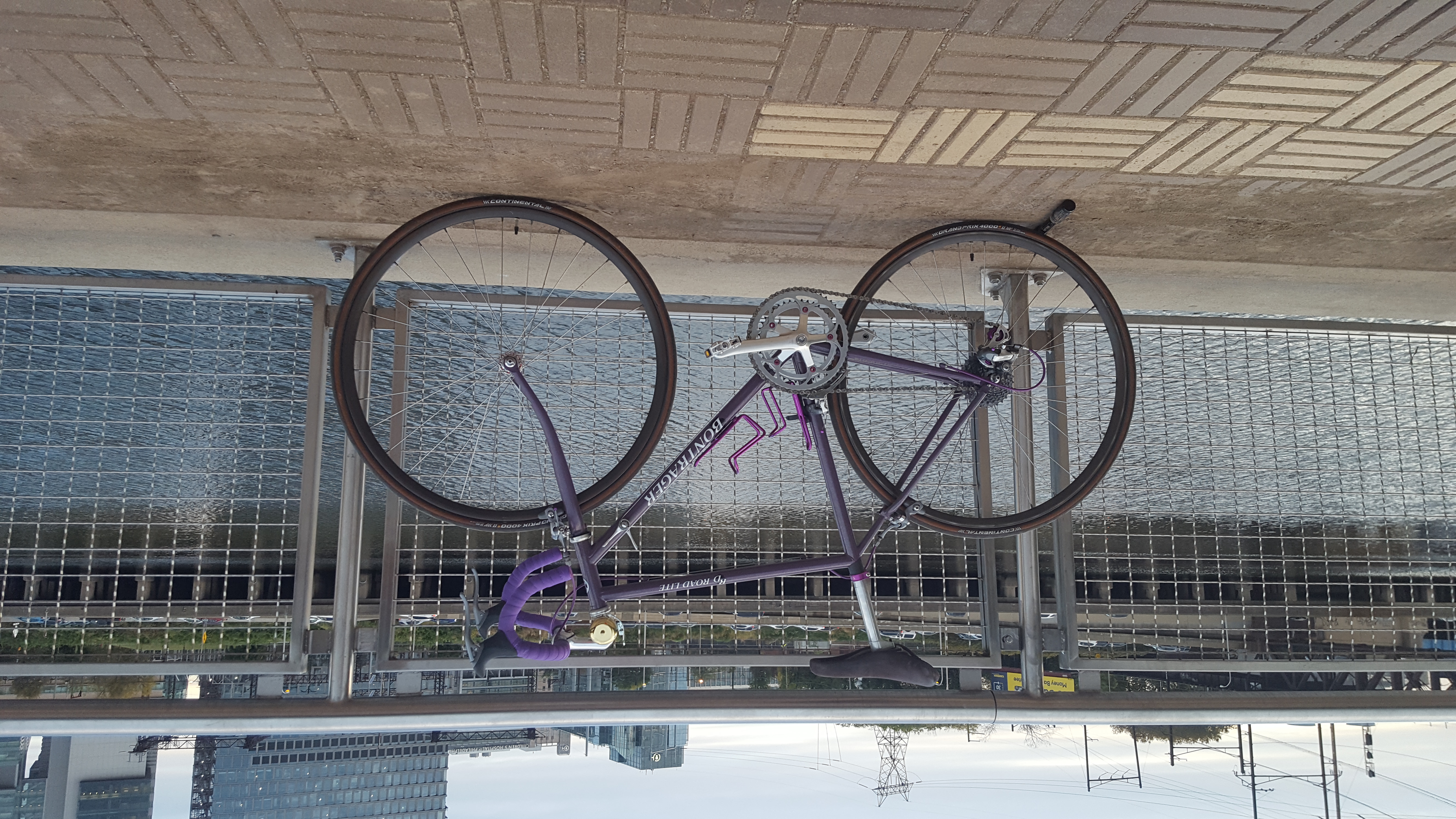 A matte-purple bicycle with sparkley clear-coat posed on a fence in front of a river. It has drop-bars with purple tape, moderately aero wheels with tan-wall tires, and a large brass bell affixed to the stem.